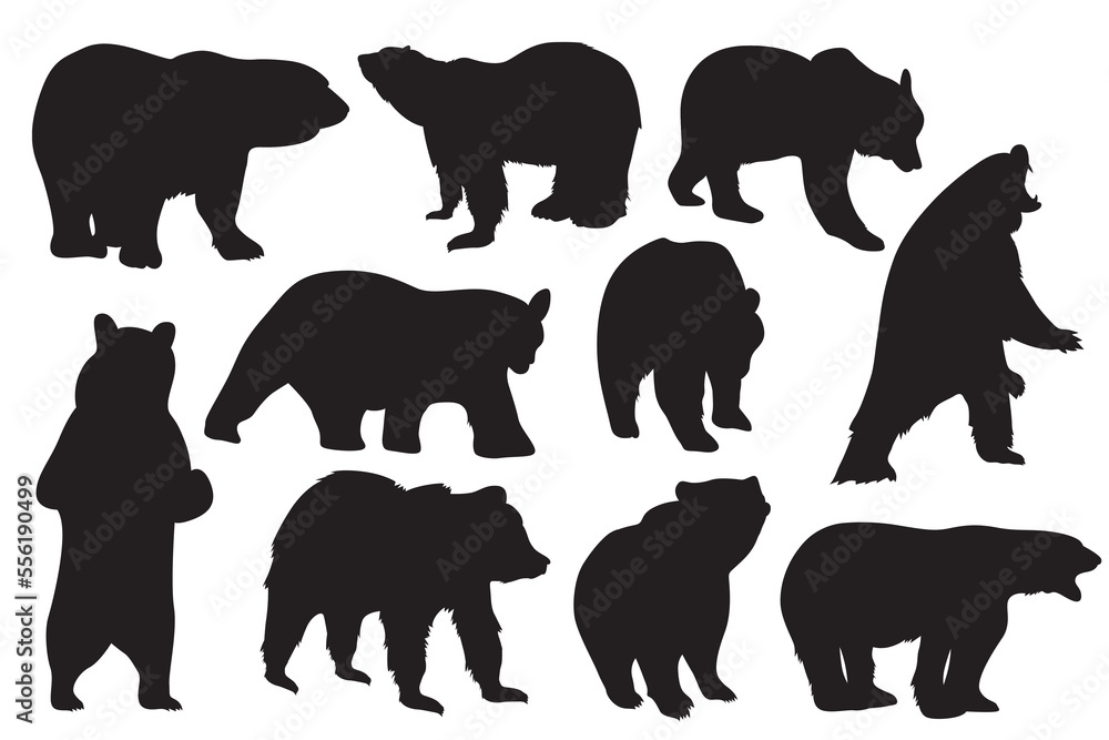 Obraz premium Vector illustration of a bear. Bear silhouette on white background