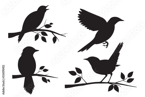 Nightingale vector. The nightingale perched on a tree branch. Clever bird. Insect chasing bird