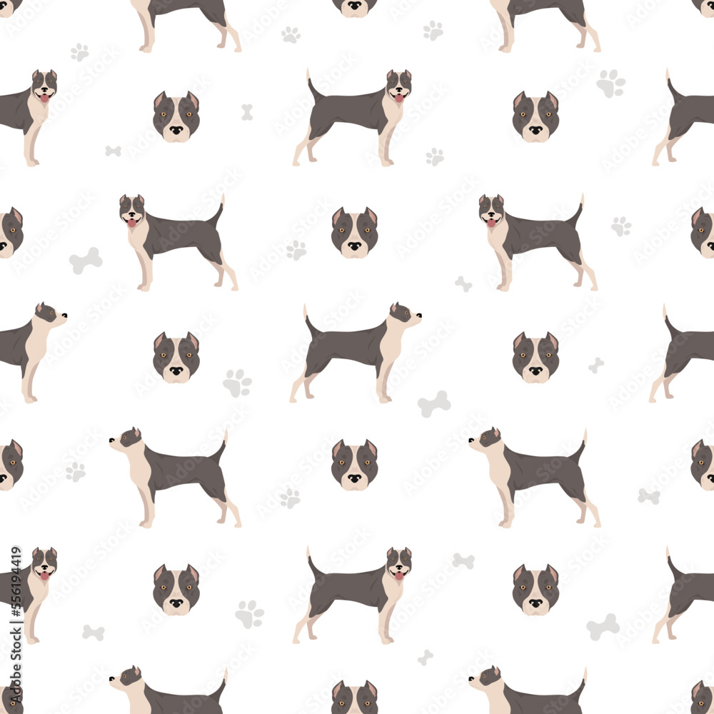 American staffordshire terrier seamless pattern American staffordshire terrier seamless pattern