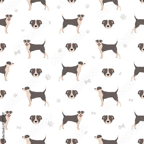 American staffordshire terrier seamless pattern