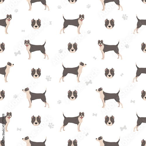 American staffordshire terrier seamless pattern