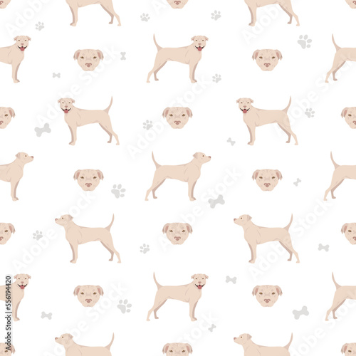 American staffordshire terrier seamless pattern