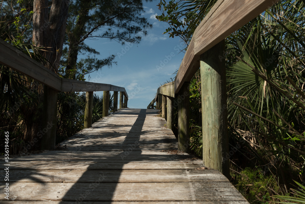 Wooden bridge on a trail to Bean Point Beach