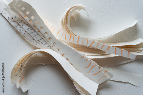 Fototapeta Naklejka Na Ścianę i Meble -  shredded paper with lines on blank paper