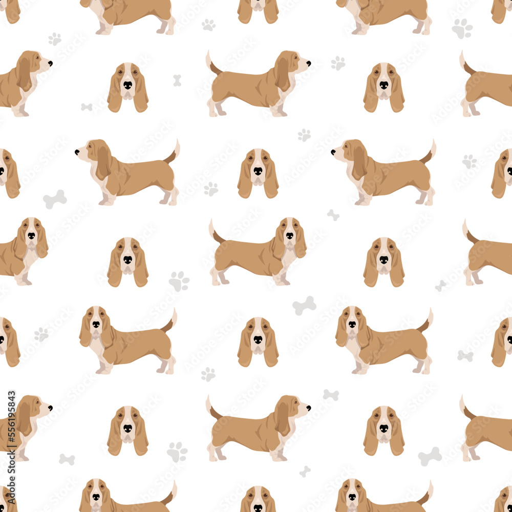 Basset Hound dog seamless pattern