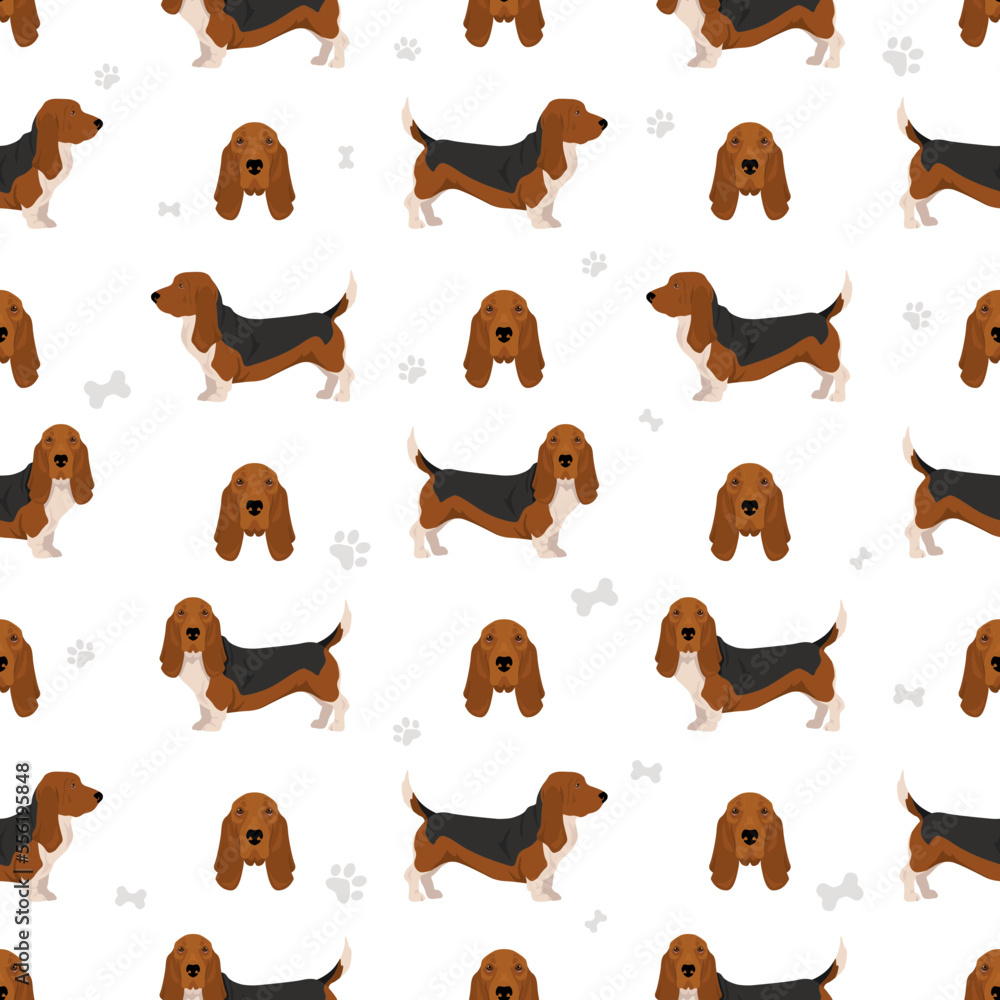 Basset Hound dog seamless pattern