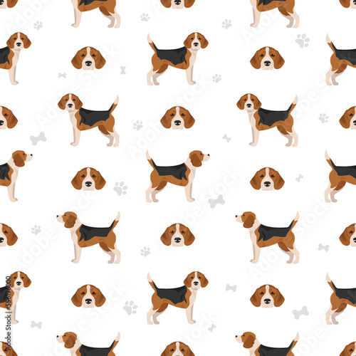 Beagle dog seamless pattern