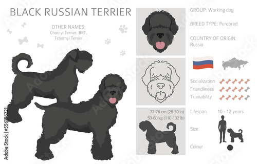 Black russian terrier clipart. Different coat colors and poses set