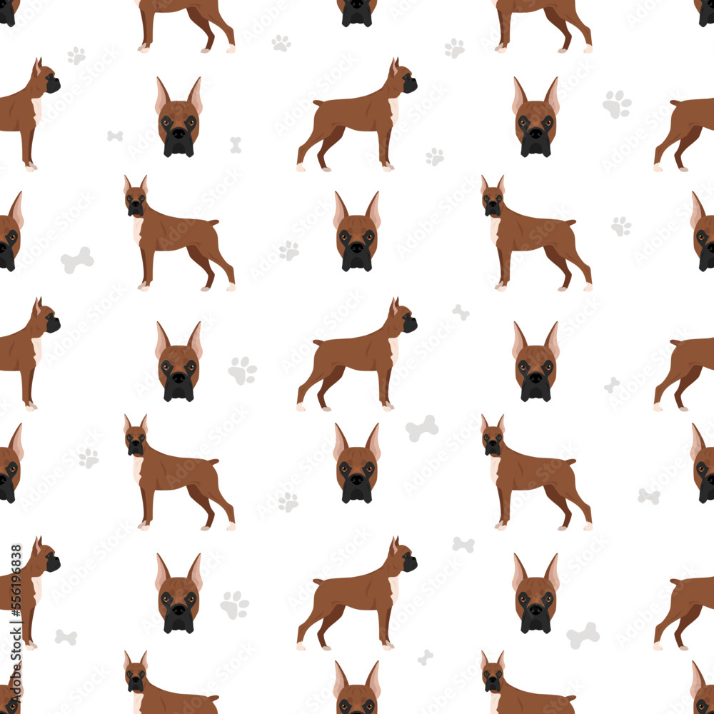 Boxer dog seamless pattern