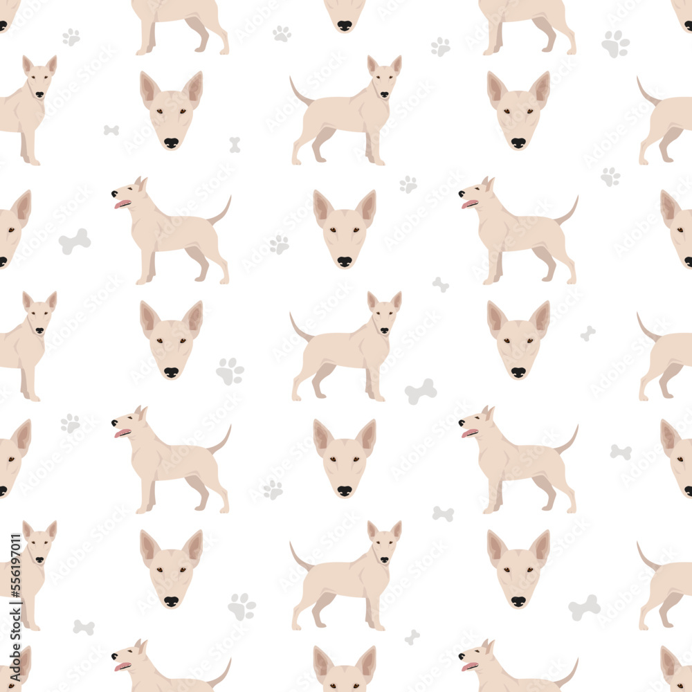 Bull terrier seamless pattern
