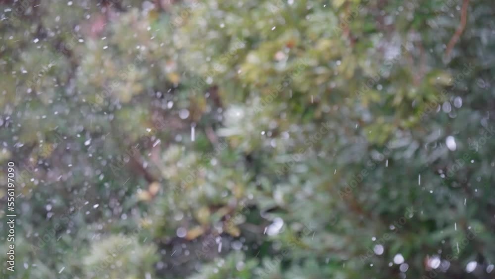 静かに降る粉雪 静かに降る粉雪