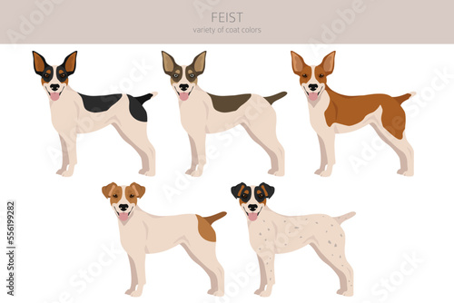 Feist dog clipart. Different coat colors set