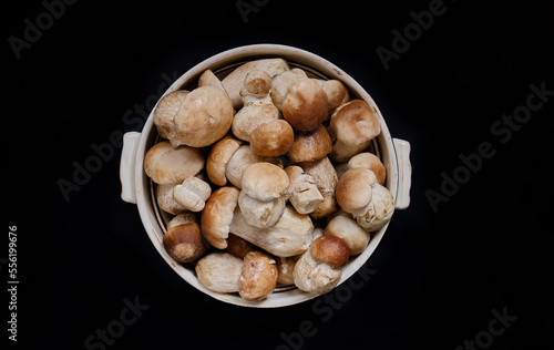 bunch of porcini mushrooms in a bowl on a black background