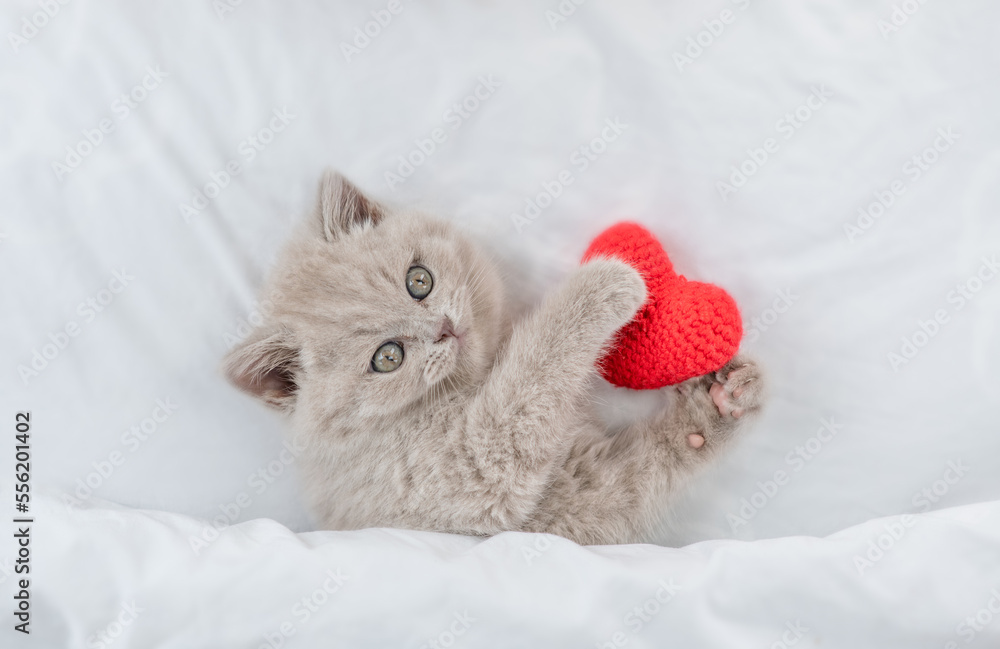 Cute kitten hugs red heart on a bed under warm white blanket. Valentines day concept. Top down view