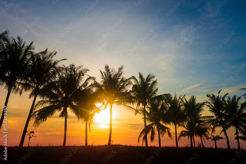 sunset over the beach