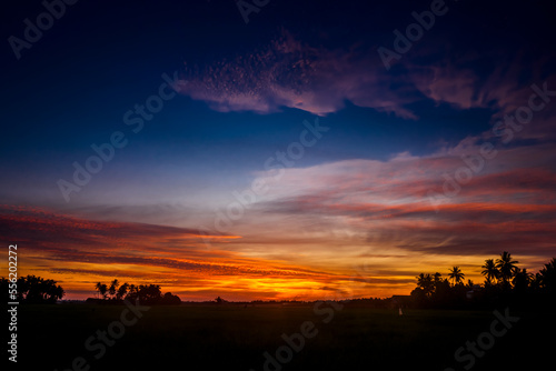 sunset over the field © Johnster Designs