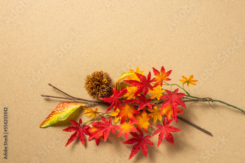 Photography 紅葉のイメージ　Image photo of autumn leaves in Japan