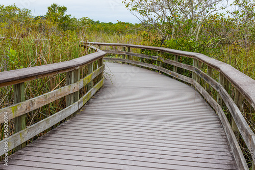 Fototapeta Naklejka Na Ścianę i Meble -  Boardwalk on The Anhinga Trail, Everglades National Park, Florida, USA