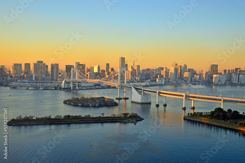 Tokyo Bay and Tokyo City at evening
