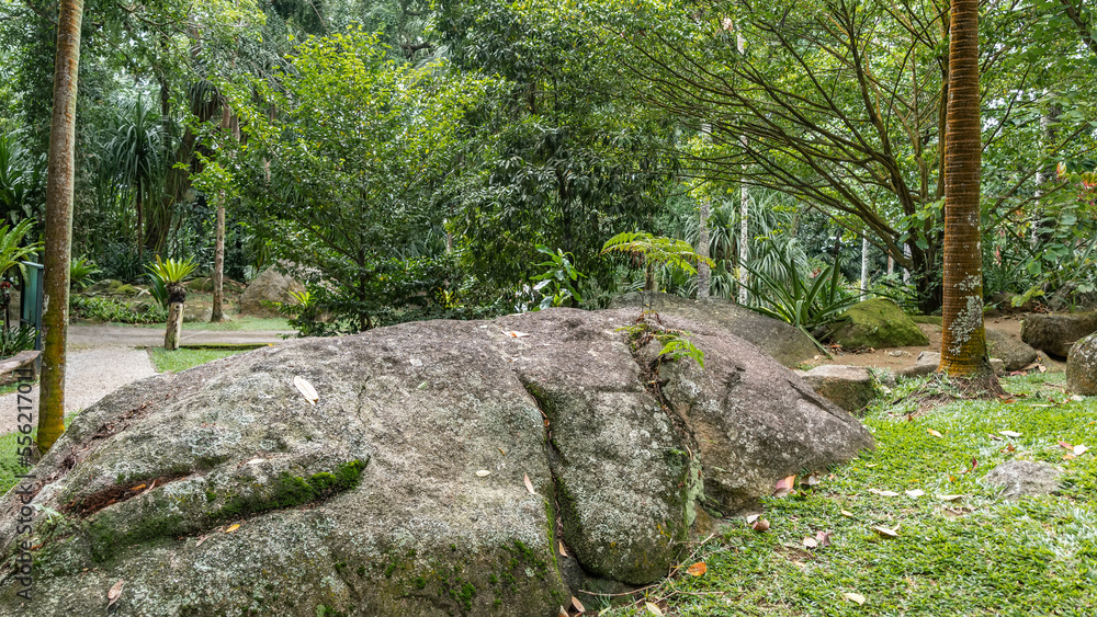 A mossy granite boulder in a tropical park. Fallen leaves on the green grass. There is a paved pedestrian path, lush vegetation around. Seychelles A mossy granite boulder in a tropical park. Fallen leaves on the green grass. There is a paved pedestrian path, lush vegetation around. Seychelles