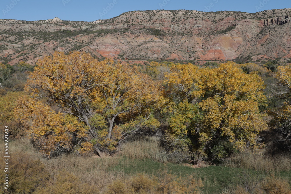 Landscape of Palo Duro Canyon, USA
