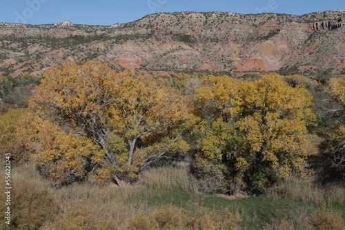 Landscape of Palo Duro Canyon, USA