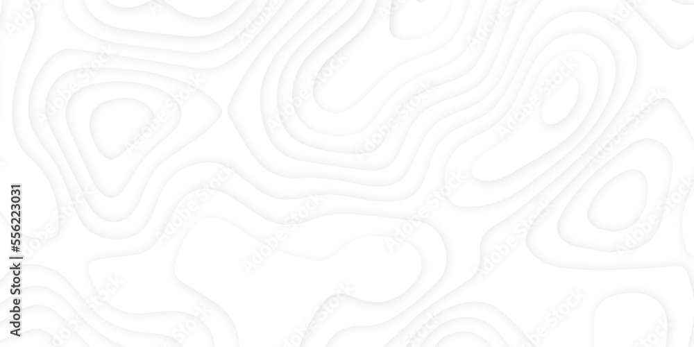 Abstract wavy line 3d paper cut white background. Topographic canyon geometric map relief texture with curved layers and shadow. Abstract realistic papercut decoration textured with wavy layers Abstract wavy line 3d paper cut white background. Topographic canyon geometric map relief texture with curved layers and shadow. Abstract realistic papercut decoration textured with wavy layers