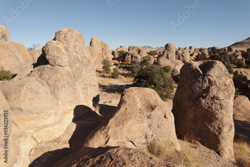 beautiful landscape city of rocks New Mexico, USA