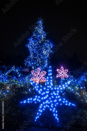 馬見丘陵公園イルミネーション