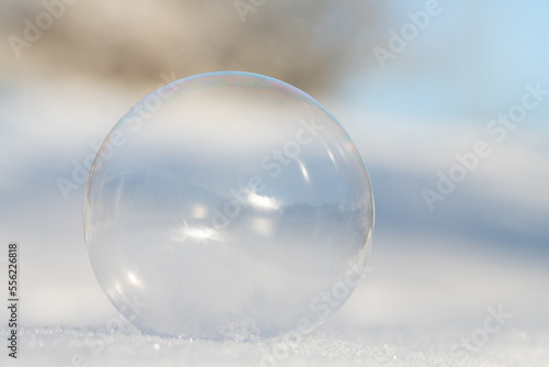 Close-up of a transparent soap bubble. The bubble lies in the snow. The background is light. The blue sky and bare trees are behind it.