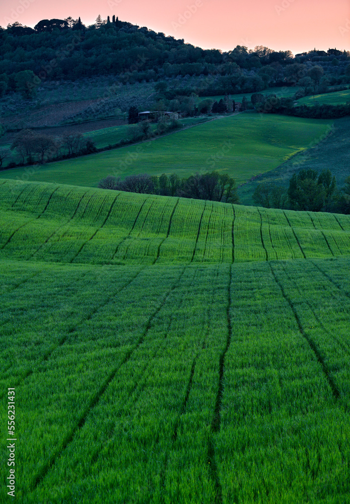 Spring rolling hills of Val d'Orcia Spring rolling hills of Val d'Orcia