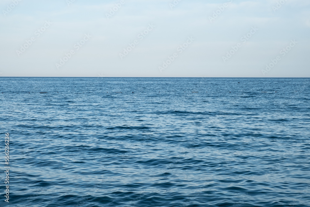 calm blue sea
sea ​​background