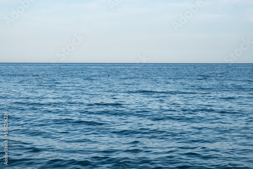 calm blue sea sea ​​background