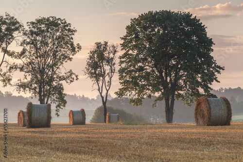 Fototapeta Naklejka Na Ścianę i Meble -  View of the Masurian fields.