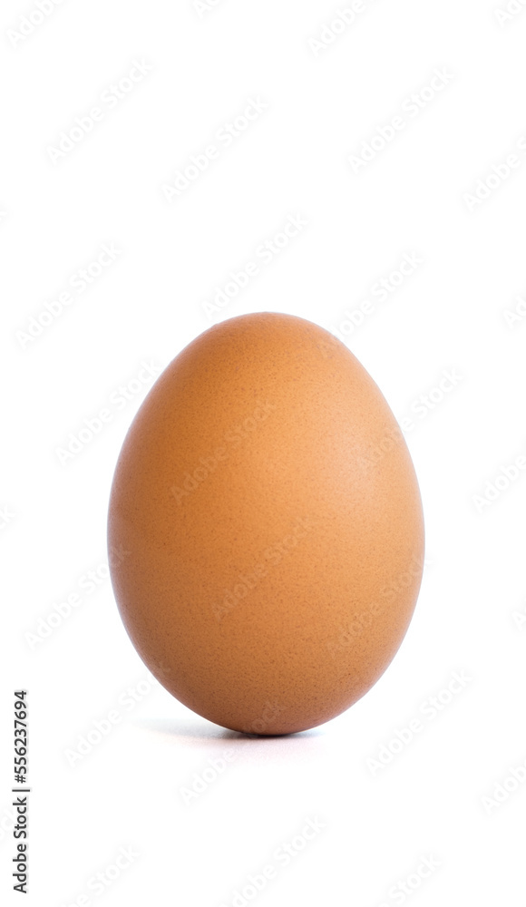 fresh brown chicken egg isolated on white background fresh brown chicken egg isolated on white background