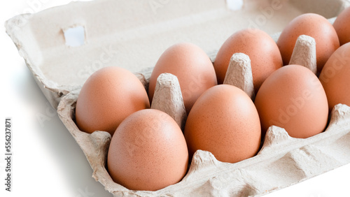 Open box with fresh brown eggs isolated on white background, clipping path. Fresh organic chicken eggs in carton box.