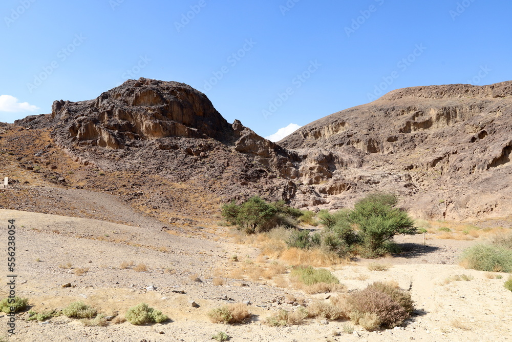 The Negev is a desert in the Middle East, located in the south of Israel.