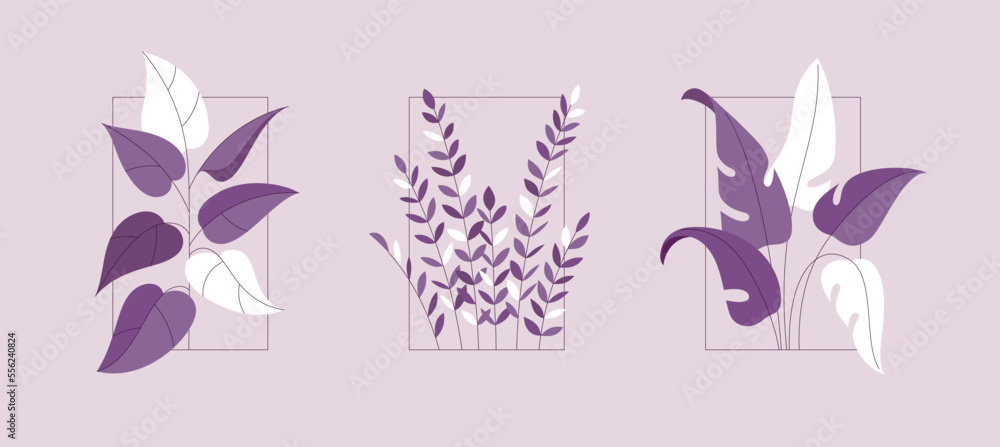 Set of plant branches in flat style with frame. Line art with outline. Monochrome vector template of green bush for home interior design, coziness. Isolated botanical illustration with leaves