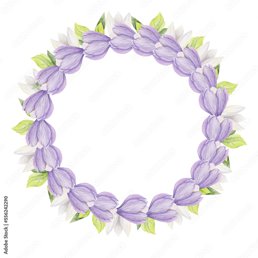 Watercolor hand drawn circle wreath with spring flowers, daffodils, crocus, snowdrops, leaves. Isolated on white background. Design for invitations, wedding, greeting cards, wallpaper, print, textile.