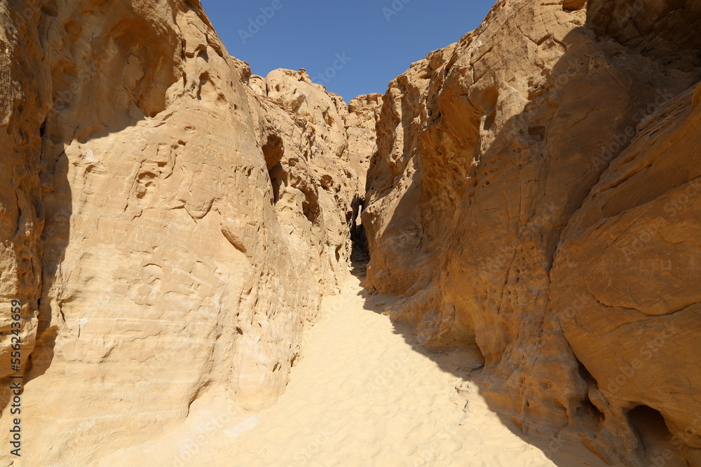 The Negev is a desert in the Middle East, located in the south of Israel.