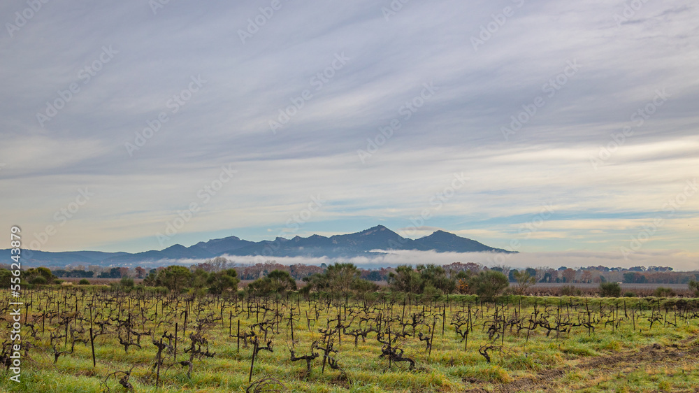 Fototapeta premium vue des montagnes près de la ville de Rasteau dans le Vaucluse