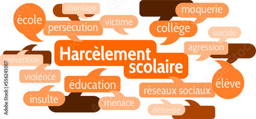 Nuage de Mots Harcèlement Scolaire v8 photo