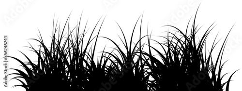 grass silhouette black