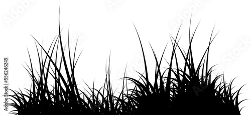 grass silhouette black