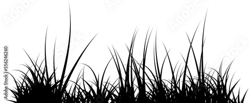 grass silhouette black