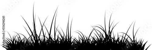 grass silhouette black