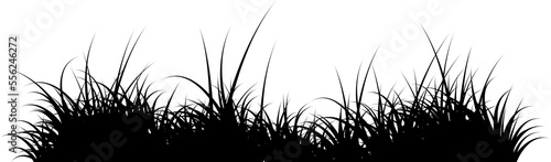 grass silhouette