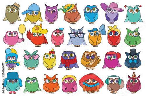 Wallpaper Mural Owl vector color set icon. Isolated color set icon funny bird. Vector illustration owl on white background. Torontodigital.ca