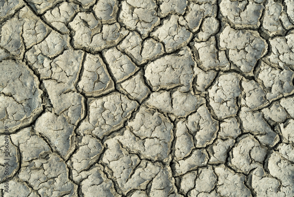 The dry soil, the topsoil cracked due to the lack of water, moisture loss, lack of vegetation cover is a natural disaster. abstract background. The dry soil, the topsoil cracked due to the lack of water, moisture loss, lack of vegetation cover is a natural disaster. abstract background.