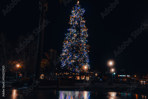 Coronado California City Christmas Tree at night